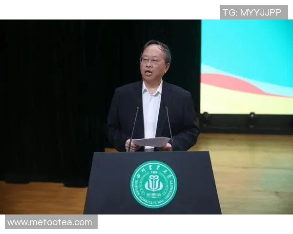 张强回顾篮球生涯的点滴与成长分享专访